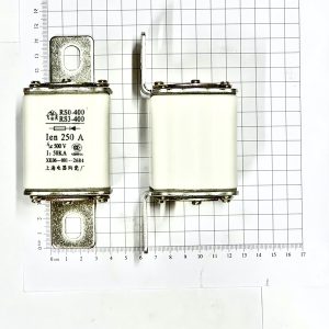 RS0-400:RS3-400 Cầu chì 250A 500V_1