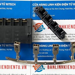 AMP D-5200 kim cong 4P