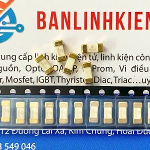 Cầu Chì Sứ SMD 500mA 125V LF500mA