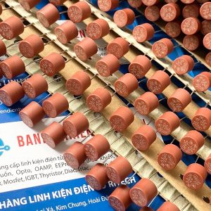 Cầu chì tròn T10A