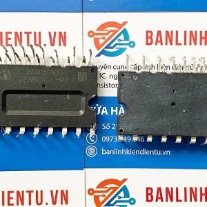 IKCM15F60GA tm