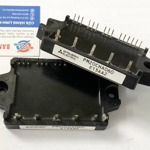PM20CHA060
