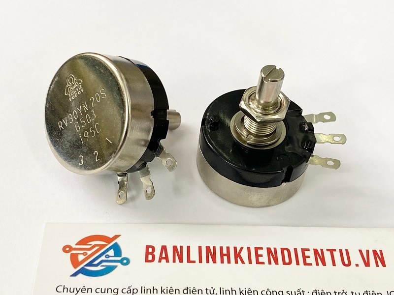 RV30YN20S B503
