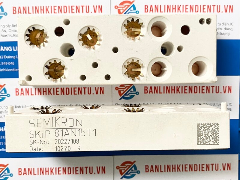 SKIIP81AN15T1