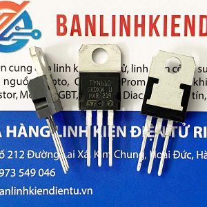TYN610