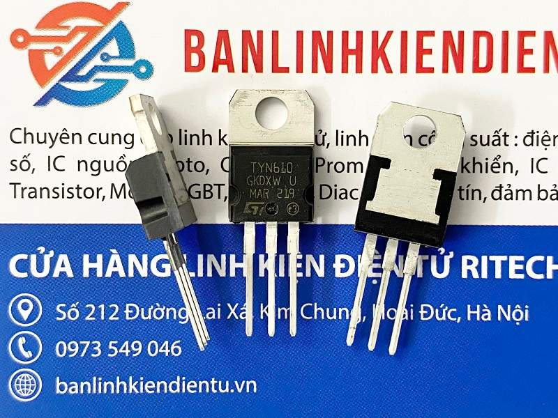 TYN610