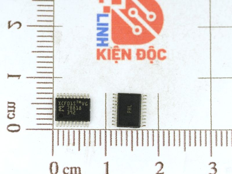 XCF01S, XCF01SVOG20C IC Chuyên Dụng TSSOP-20 - Ảnh 2