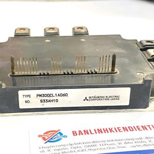 pm300cl1a060