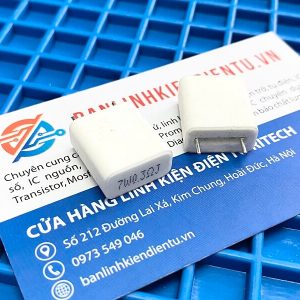 Điện trở sứ, điện trở công suất 0.3R 7W