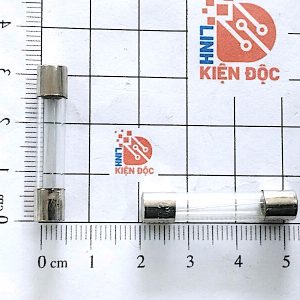 6x30mm 6.3A
